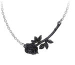 Alchemy Gothic guler ALCHEMY GOTHIC - Black Rose Enigma - Pewter - P913
