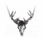 Alchemy Gothic Zgardă ALCHEMY GOTHIC - White Hart Black Rose - P807