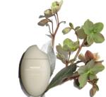 Haruharu Black Rice Hyaluronic Anti-Wrinkle Serum 50 ml