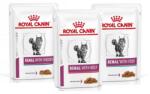 Royal Canin Renal Feline Vegyes ízek 36 x 85 g