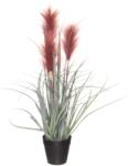  4Living Műnád Dísznövény Cserépben - 53 cm