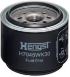Hengst Filter Filtru combustibil HENGST FILTER H7045WK30 (H7045WK30) - fixbox