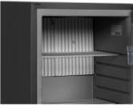TEFCOLD TM33G Frigider