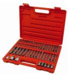 Extol BIT klt. 51 db HEX-TORX-XZN, 10mm+14mm, 3/8"+1/2" adapterek, S2 acél, műanyag dobozban, 8818200 (8818200)