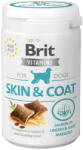 Brit Vitamins Skin Coat 150 g
