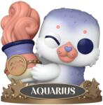 Funko Figurină Funko POP! Zodiac: Zodiac - Aquarius #13 (104312) Figurina