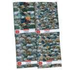 Herlitz Adventure A4 vonalas füzet, A4/81-32 (1 db) (H_2025_09092263)