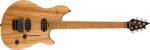 EVH Wolfgang WG Standard Exotic Zebrawood