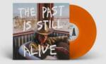 Nonesuch LP Hurray For The Riff Raff: The Past Is Still Alive
