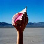 Island Records LP The Killers: Wonderful Wonderful