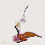 4AD LP Future Islands: The Far Field