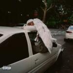 Domino 2LP Blood Orange: Negro Swan