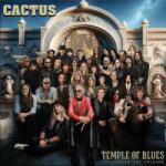 Cleopatra 2LP Cactus: Temple of Blues: Influences and Friends CLR | LTD