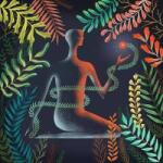 Sub Pop LP Loma: Don't Shy Away CLR