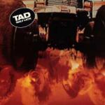Sub Pop LP Tad: Salt Lick LTD | DLX | CLR