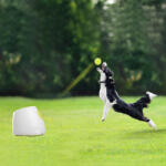 All For Paws All for paws Mini Lansator de Mingi pentru Caini
