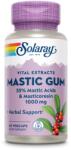 SOLARAY Mastic Gum Solaray, 45 capsule, Secom