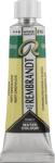 Rembrandt Professional Акварелна боя Viridian 10 ml 1 бр (<![CDATA[05016160]]>)