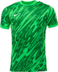 Nike DRI-FIT GARDIEN JERSEY Verde închis, Verde, Alb M (FD7482-329)