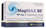 OLIMP MagMax B6 / 50 Tabs