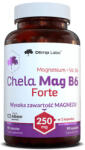 OLIMP Chela Mag B6 Forte / 90 Caps