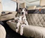 Petsafe Happy Ride Steppelt Üléshuzat - Zöld - 140Cm Széles X 113Cm Hosszú (62433)