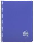 DACO Caiet A4 cu spira, 96 file, matematica, coperta PP, Atinge Excelenta, Daco (CT496AR)