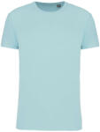 Kariban KA3025IC BIO150IC MEN'S ROUND NECK T-SHIRT 2XL (3663938383309)