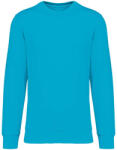 Native Spirit NS400 ECO-FRIENDLY UNISEX ROUND NECK SWEATSHIRT S (3663938546896)