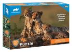 Luna Animal Planet: Familia de ghepard 1000 bucăți puzzle (000570697) Puzzle
