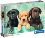 Clementoni Trei căței labrador 1000 de piese puzzle cu poster - Clementoni (39946) Puzzle