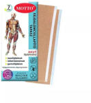 MOTTO MOTTÓ Fájdalomcsillapító Tapasz (Mottó Kék Tapasz) 2 db/csomag (18353)