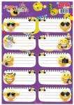 TANEX Etichete scolare TANEX TLS-803, 30 buc. /set, Smileys (TWTLS803)
