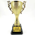 Nevesajándék A Legjobb FOCISTA - Serleg, Kupa, Trófea (SER033)