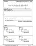  Ordin deplasare, A5, tipar fata/verso, 100 file/carnet (TP019048)