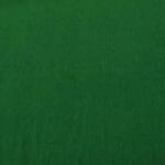 CANSON Hartie creponata CANSON superioara 0, 5x2, 5m, 48g/mp, Vert franc (Verde pur) (2416)