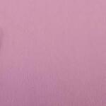 CANSON Hartie creponata CANSON superioara 0, 5 x 2, 5m, 48g/mp, ROSE PALE (ROZ PAL) (400055523)