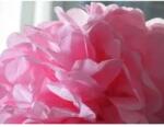 CANSON Hartie de matase CANSON 0, 5X5m, 18 g/mp, ROSE (ROZ) (992668)