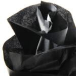 CANSON Hartie de matase CANSON 0, 5X5m, 18 g/mp, NOIR (NEGRU) (992671)