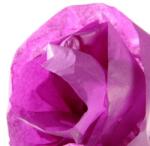 CANSON Hartie de matase CANSON 0, 5X5m, 18 g/mp, VIOLET (VIOLET) (992663)