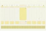 PRECISION Rezerva mapa birou hartie ivoire 55 X 37 cm PRECISION (100010)