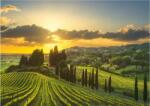 Dino - Puzzle Maremma vineyards XXL - 500 piese