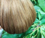  5Y Világos aranymogyoró szőke KIFUTÓ TERMÉK (505387)