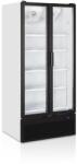 TEFCOLD FS890H