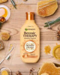 Garnier Botanic Therapy Sampon Honey Propolis 250 ml (3386) (GA3386)