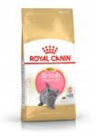 Royal Canin British Shorthair Kitten 2kg eredeti csomagolás