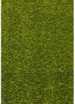 Delta Carpet Covor Dreptunghiular, 80 x 150 cm, Verde, Kolibri 11000/130 (KOLIBRI-11000-130-0815) Covor