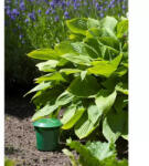  Csigacsapda 2db/-os szett (6060141)