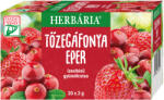 Herbária tőzegáfonya eper ízesítésű gyümölcstea 20x2g 40 g - perfectlife