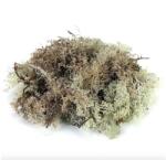  Izlandi zuzmó - szürke. Kb. 35 gr